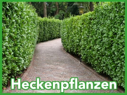 Nachfolgend aufgeführt...