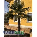 Nachfolgend finden Sie unser Angebot...