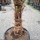 Hanfpalme "Trachycarpus Fortunei" +/-60cm Stamm (Nr. 25)